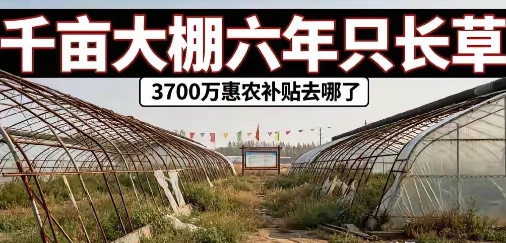 央视曝光的骗巨额农业补贴行为，如果放古代会不会满门抄斩吗？10月11日，央视
