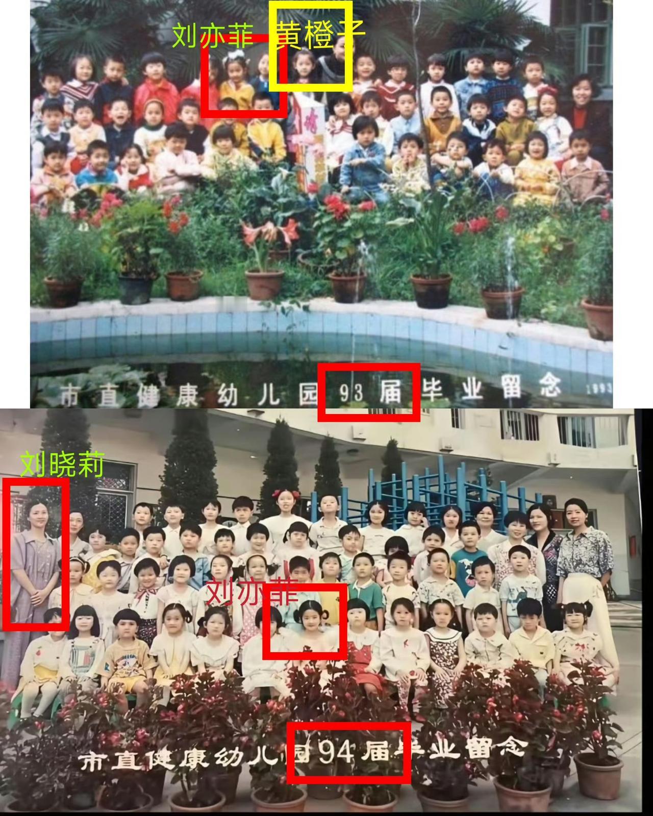 终于懂了什么叫老天爷赏饭吃！刘亦菲的高颜值骨相根本是天生自带，从小赢在起跑线。