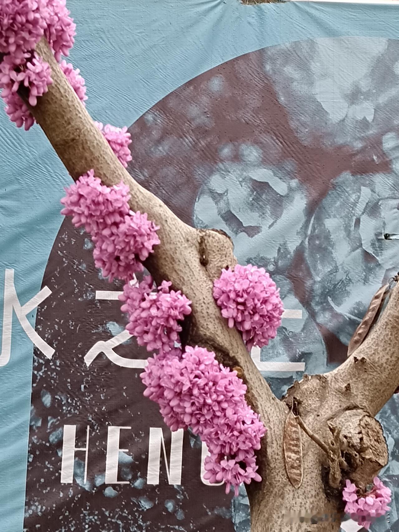 玄学警示，最好别让他人伺候你是否留意到这样一个现象？那些长期有人伺候的人，往