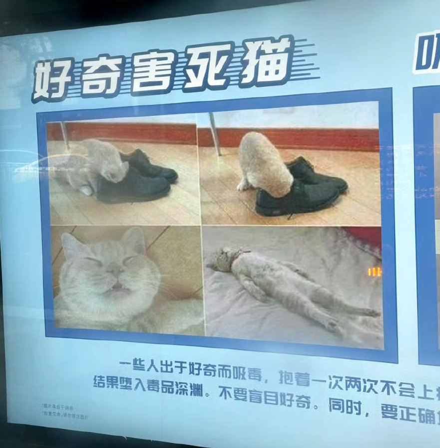 00后运营是有点本事在身上的​