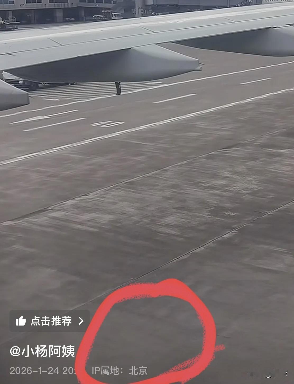 小玥儿和小箖箖太开心了！第一次冬天回北京，可以看到北京的雪了！小杨阿姨更新了动