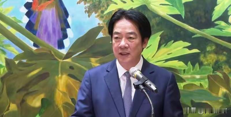 赖清德头疼，台湾乱成一锅粥。7月19号这天，国民党四个年轻点的政治人物，直接