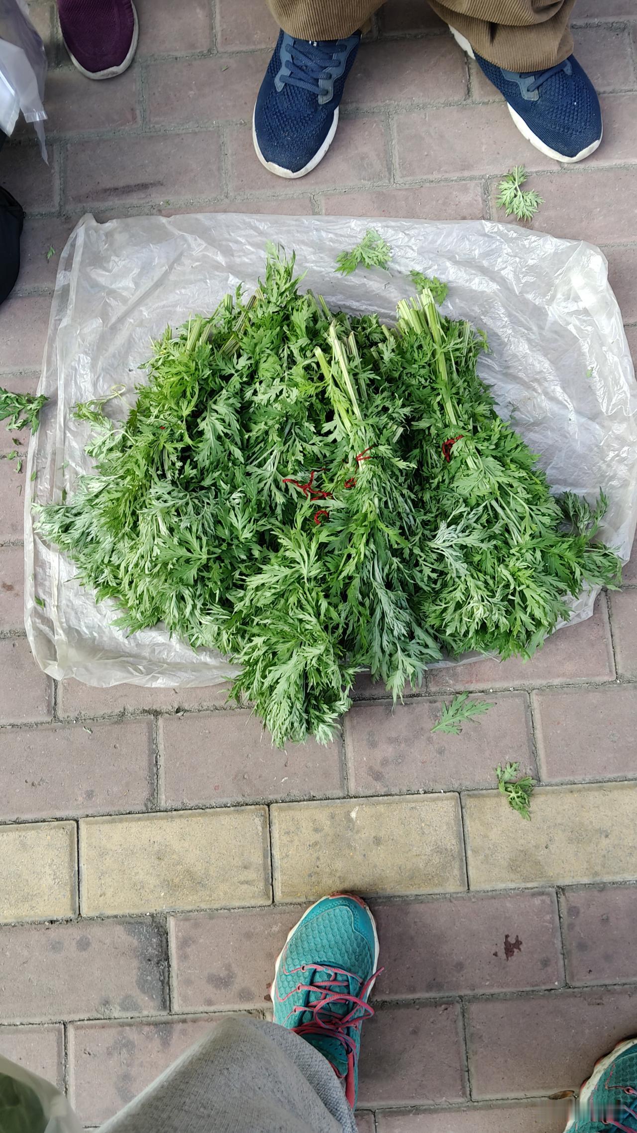 哈尔滨端午节最有意思一幕发生了仔细看，这是我在早市上看到的，不逛不知道，