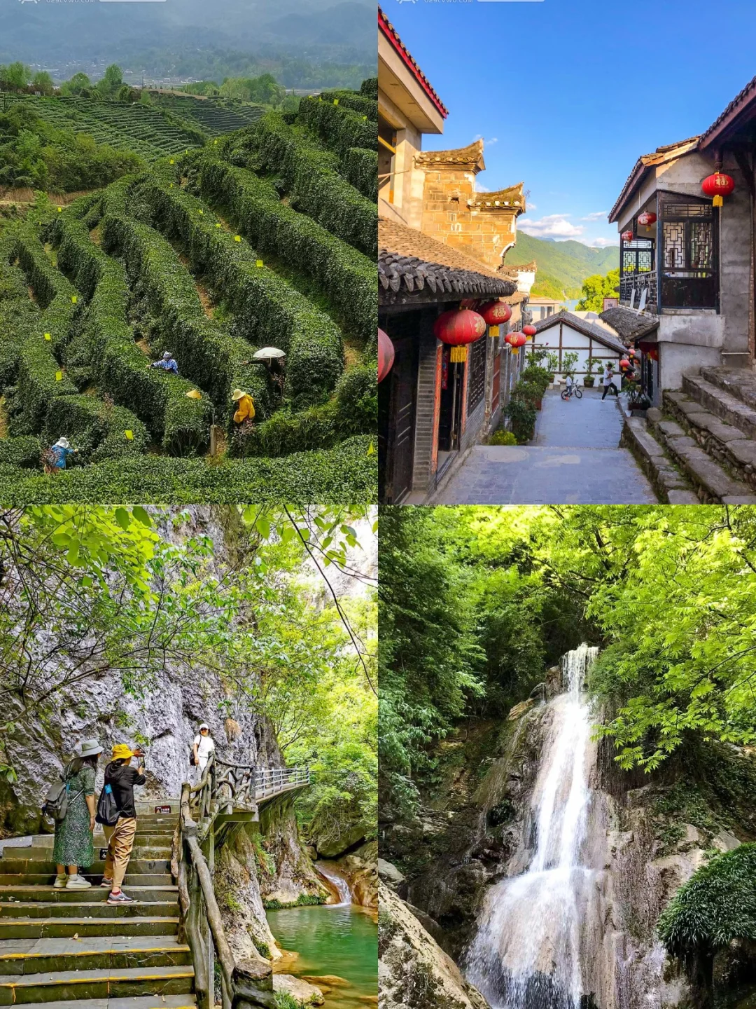 西安出发🚗西乡茶园+古镇逛吃2日游攻略