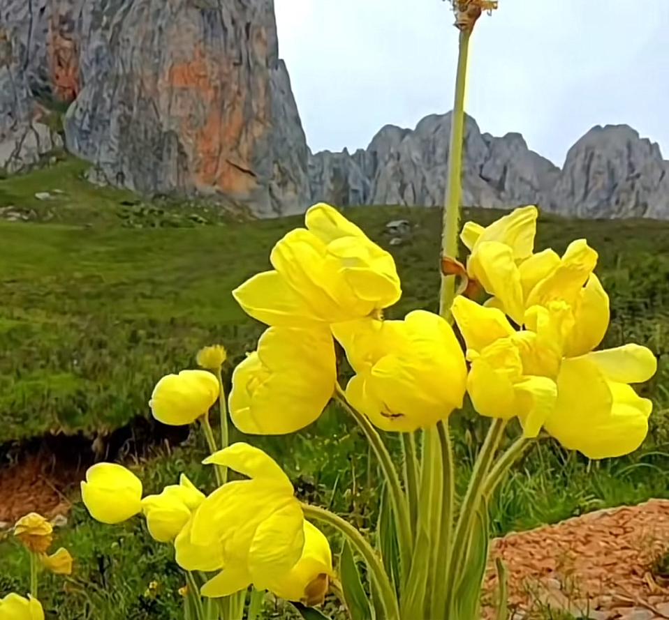 当前北京二手房市场呈现“两上三下”特征，想买房的你该不该出手？与10月相比，