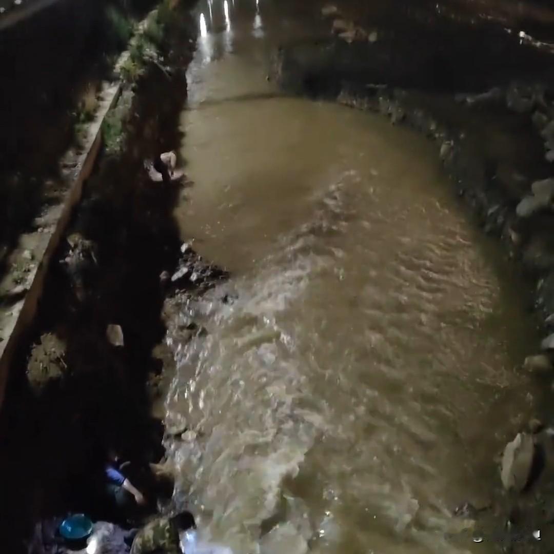 甘肃康县河里淘金热！网友发视频说，凌晨1点，好多人泡在河里用盆子淘金子，一盆沙就