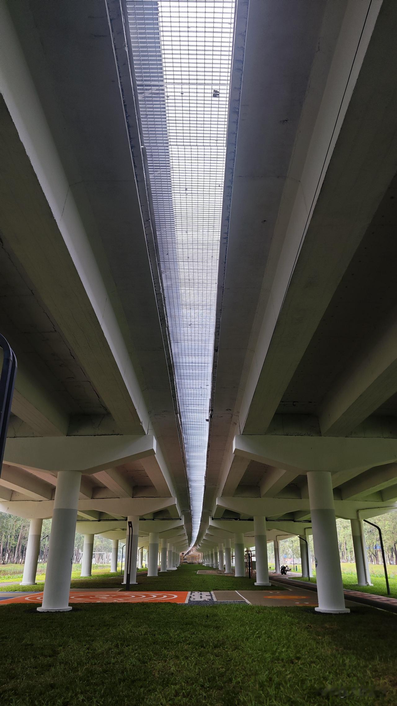 还是那句，搞好桥下空间利用，是提升南沙民生幸福感最简单最快捷的方式，比建设什么大