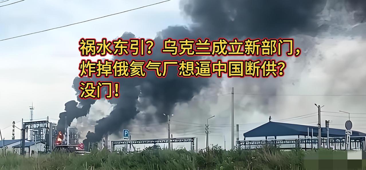一边求中国调停，一边炸出天价氦气缺口？泽连斯基这算盘打得挺精，但中国不接！大