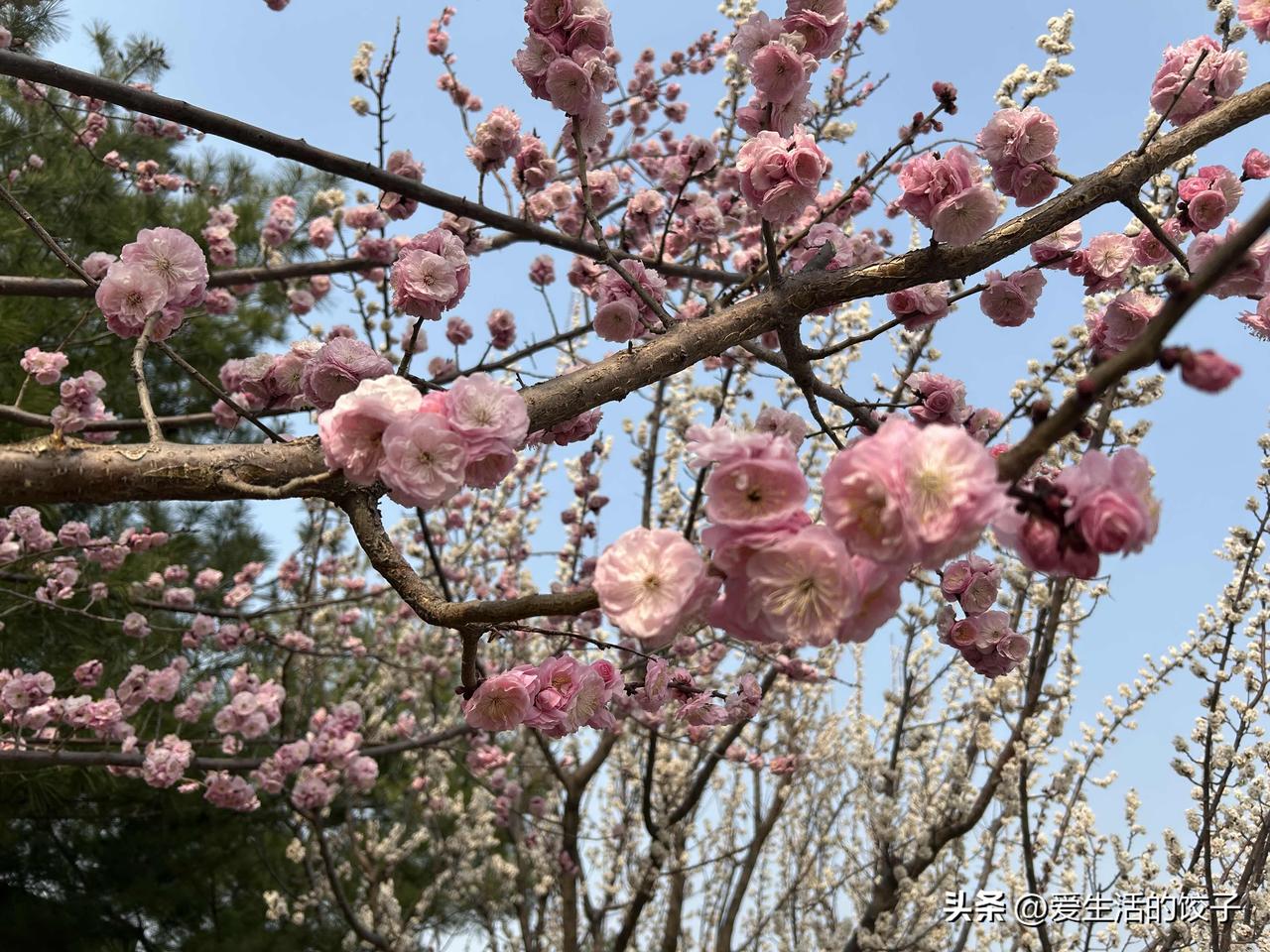 甘油三脂高就说明血脂高吗?很多人以为甘油三酯高就是血脂高，其实不全对。血脂不只
