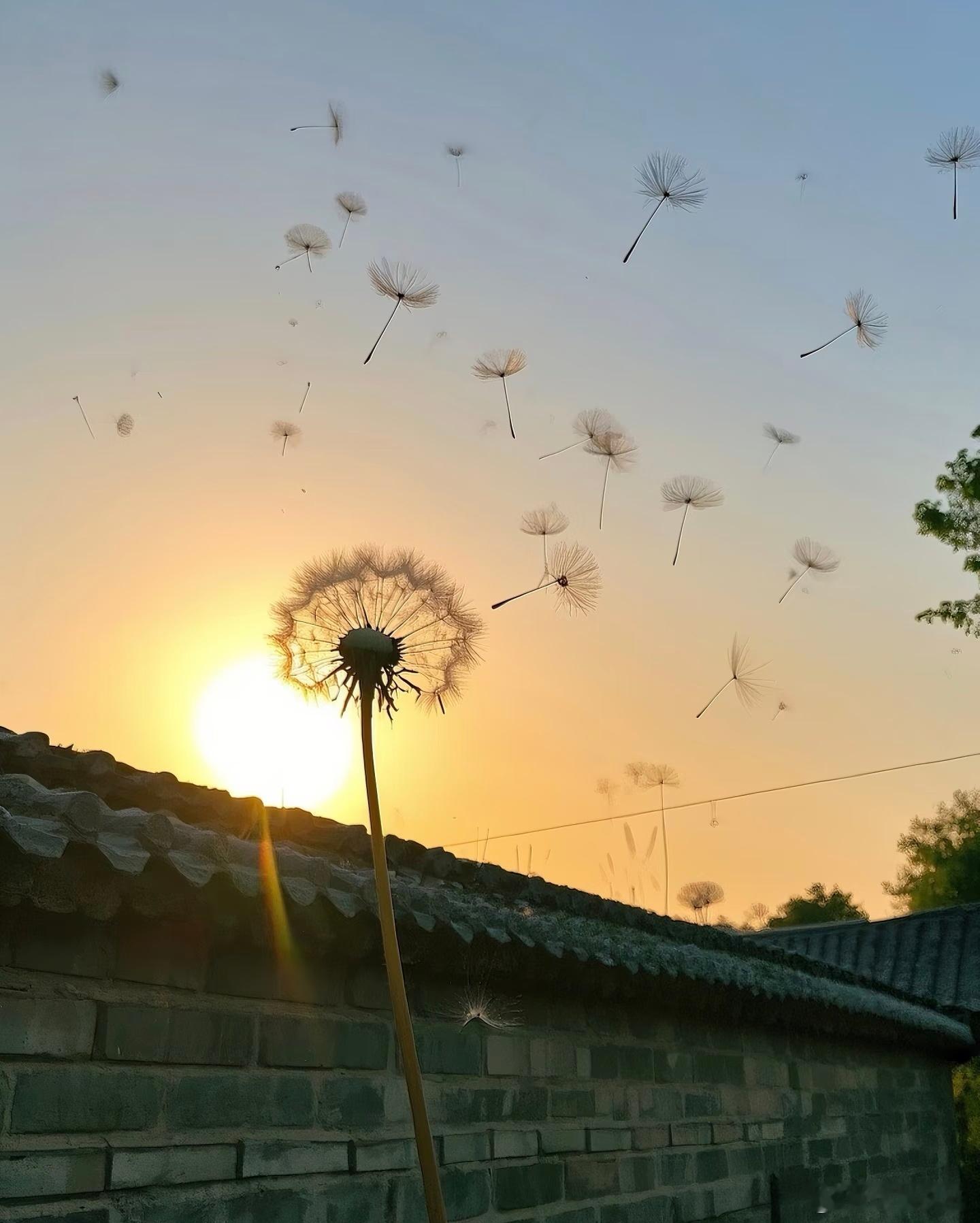 看到一句特别戳心的话，突然就释怀了。“大家不都是来这世上走一趟吗？谁还不是到期就