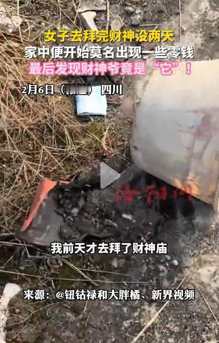 真成精了！2月6日，一四川网友发视频称，自打自己前几天去拜完财神爷以后，家里就一