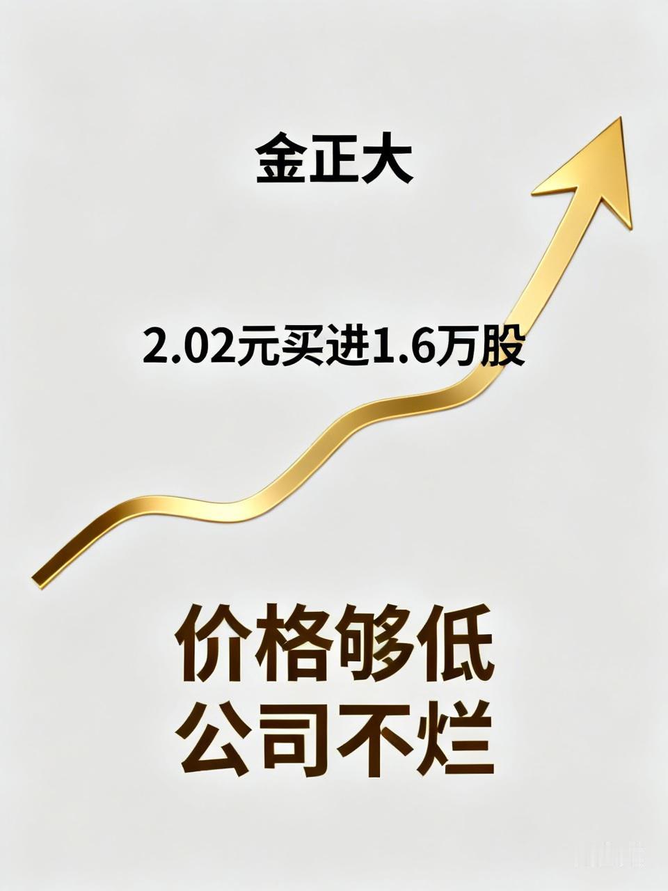 昨天老周往账户里打了一笔钱，2.02元买进1.6万股金正大，总共三十来万。买完他