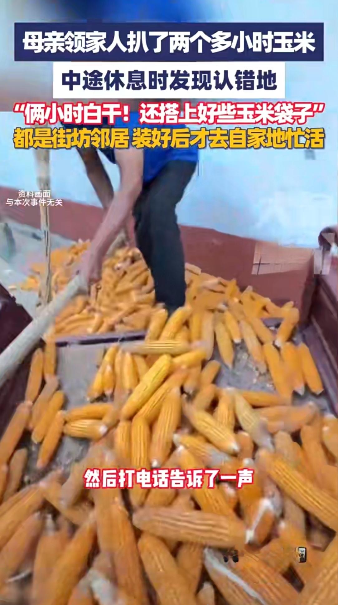 黑龙江母子掰玉米“干错片场”！忙活2小时才发现：这是邻居家的地？10月7日