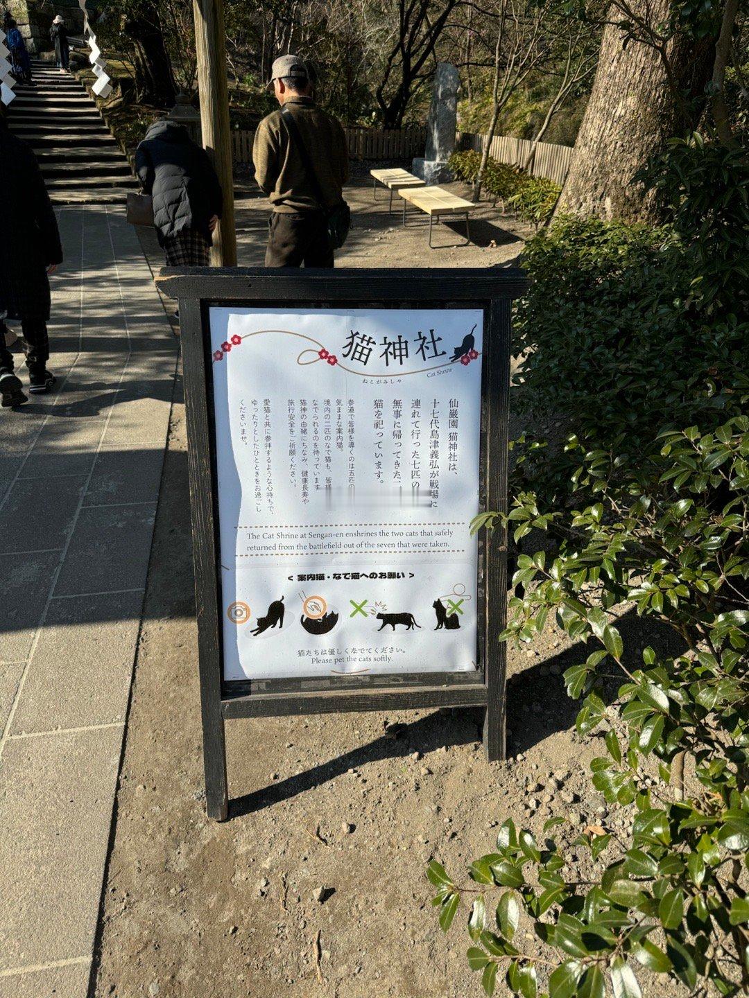 猫大神神社。当年岛津义弘公带猫出征，七年里七只猫最终剩了两只回国。我书里有写。说