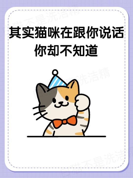 原来猫咪一直在 “说话”！
