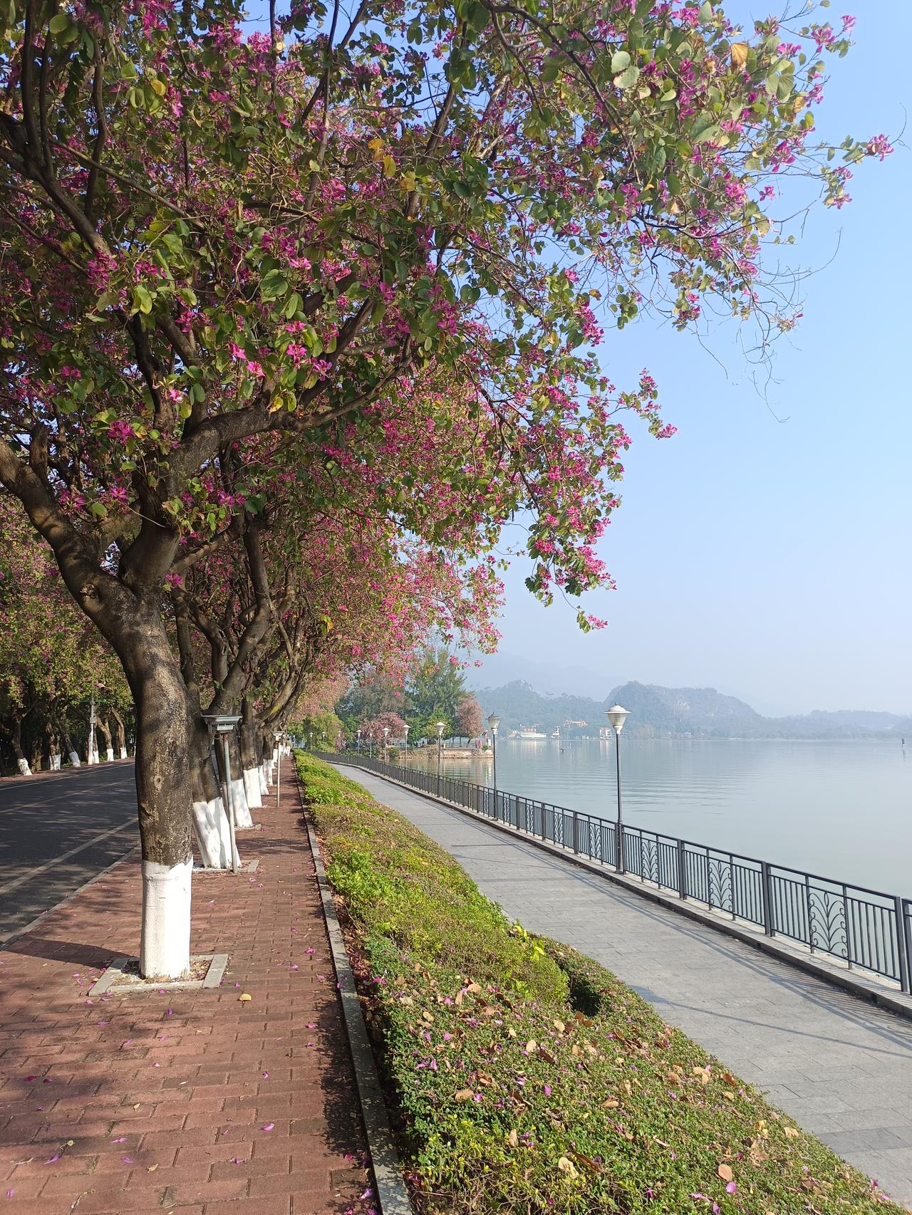 有一件事我不知道怎么说才好我在肇庆发现一个很严重的问题你敢相信吗？在