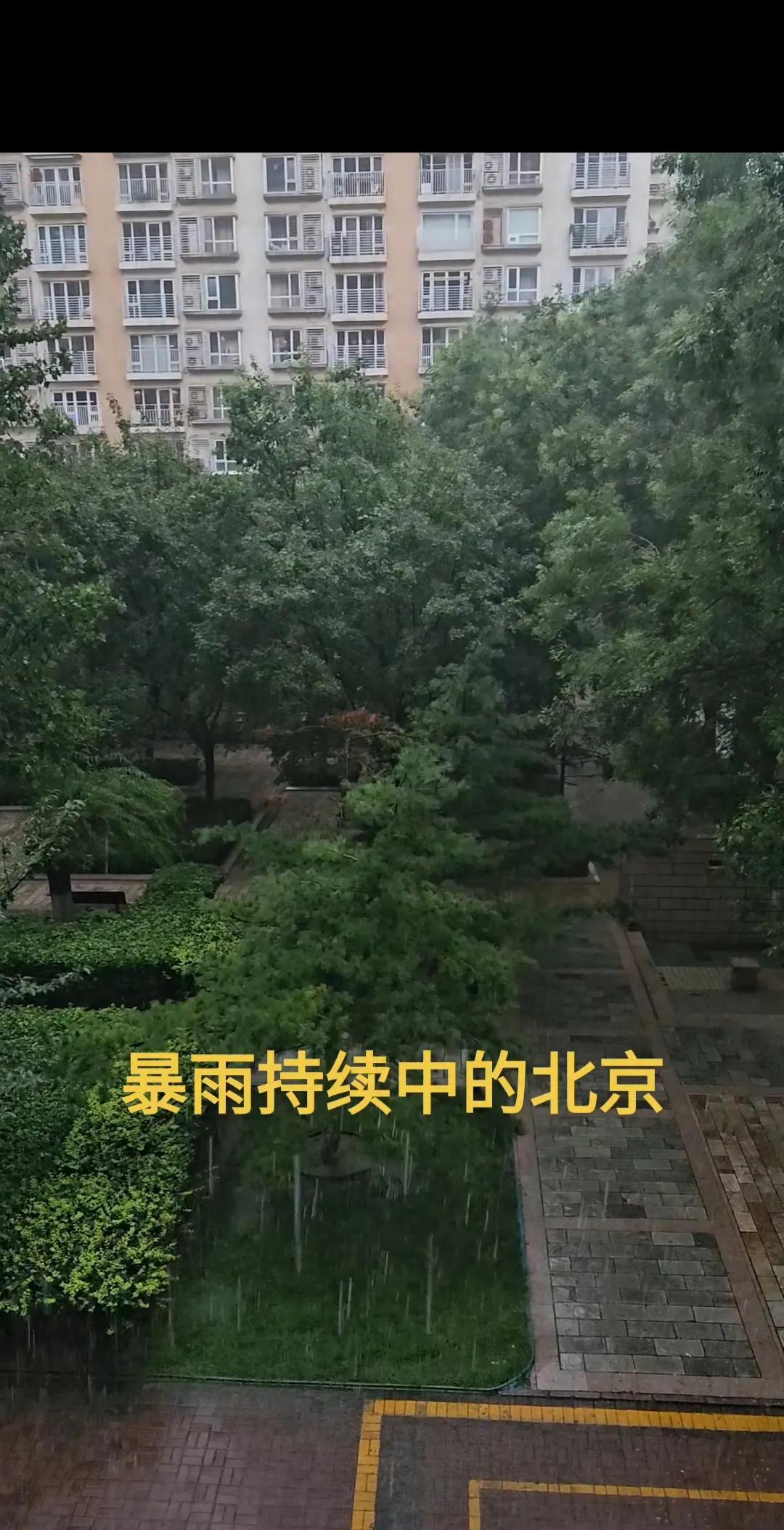 早晨五点多，下了一晚上的暴雨还在持续下，半夜给冻醒了。今年的天气真的怪，北京持续