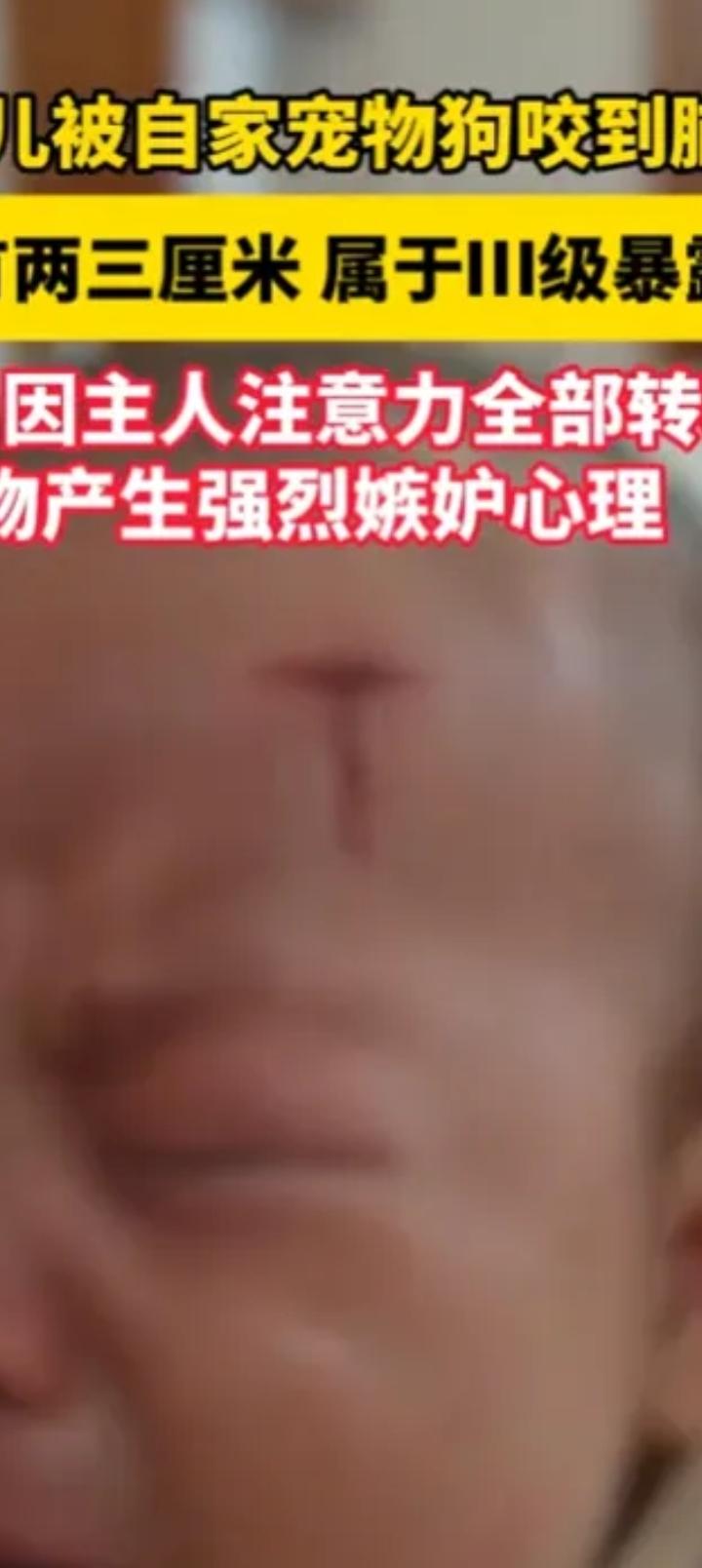 这回还宠不宠爱犬了？7月13日，浙江一宝妈生下新生儿刚刚17天，宝宝一出生，