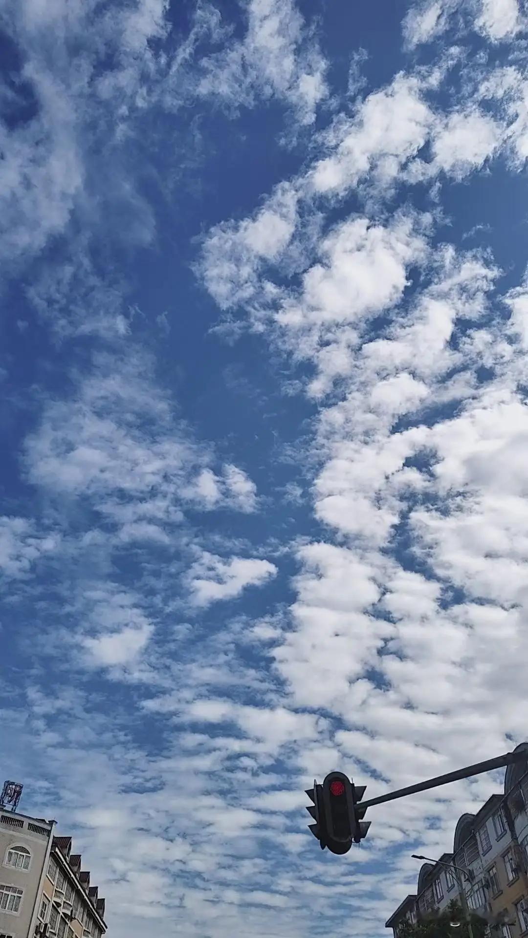 为何说不能严厉苛责孩子？这不仅是教育界的共识，更是千千万万个家庭的亲身体验。很多