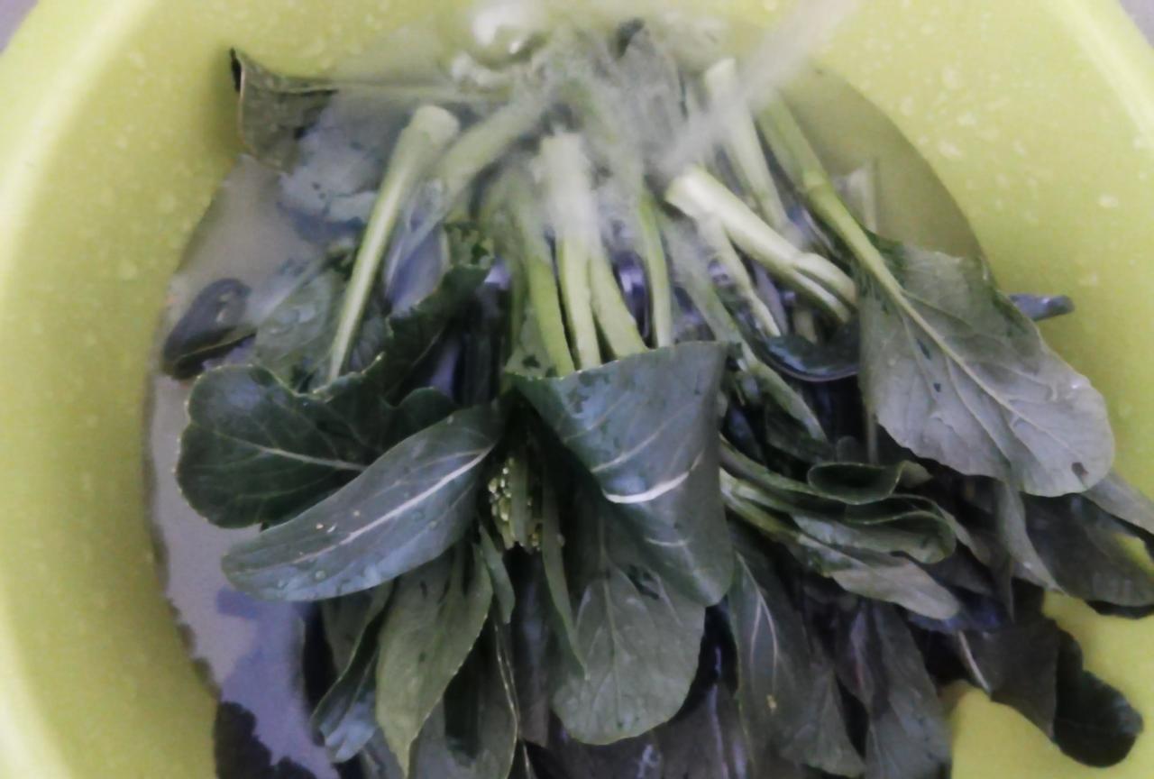 夏天吃这种菜心，简直是太好吃了，口感特别好，怎么吃都不厌，拿肉我都不换，哈哈哈…