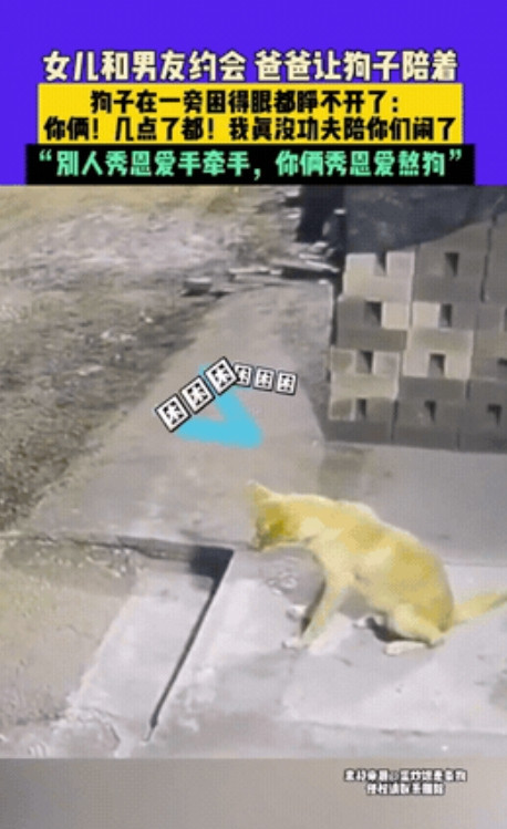 “狗都要上夜班了！”辽宁，一老父亲担心女儿晚上出去约会太晚不安全，又不好意思亲自
