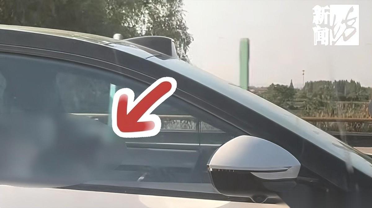 五一假期，男子在开车高速返程途中，无意间朝旁边车道瞟了一眼，差点没吓出心脏病。隔