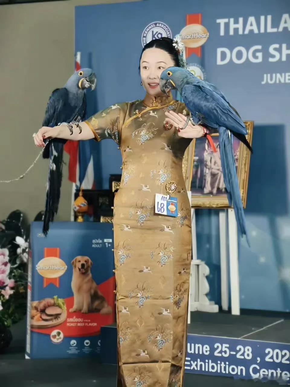 霍思燕养什么都争气霍思燕真的是养什么都争气，家里孩子也带的好，养的宠物各个也都争