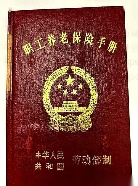 刺啦——办事员连眼皮都没抬，顺手就把那本小册子撕成两半，精准地抛进了脚边的垃圾