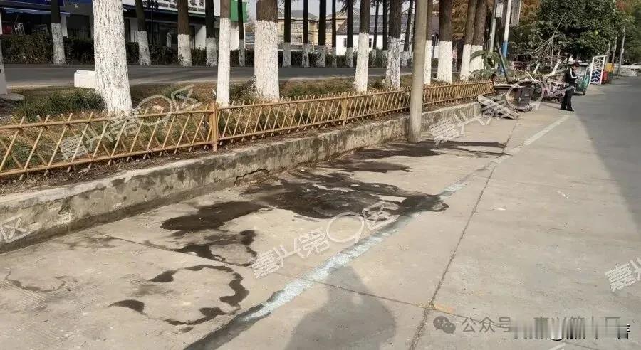 绝了！嘉兴这个地方每天早上一股尿骚味，要命的是地都变黑了？人的素质越来越高，