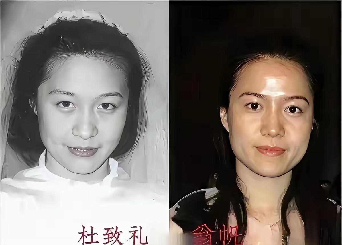 谁规定爱要分年龄?谁又说陪伴必须算清时长?杨振宁和杜致礼的五十三年,是穷日