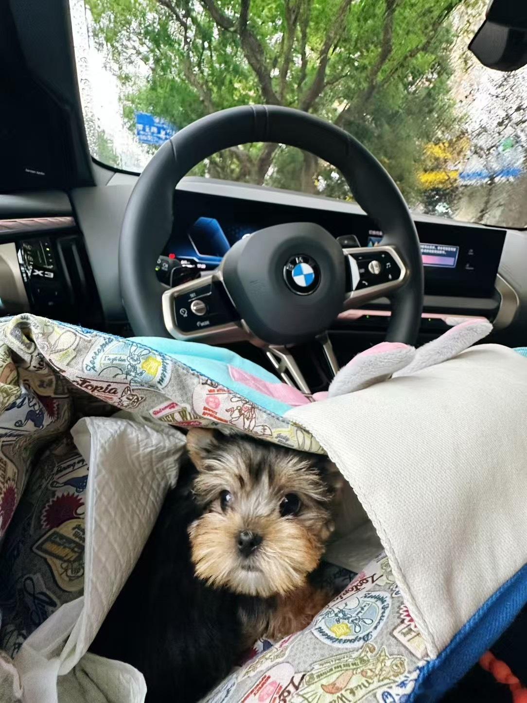 孩子第一次坐汽🚗。。。吓完了​​​