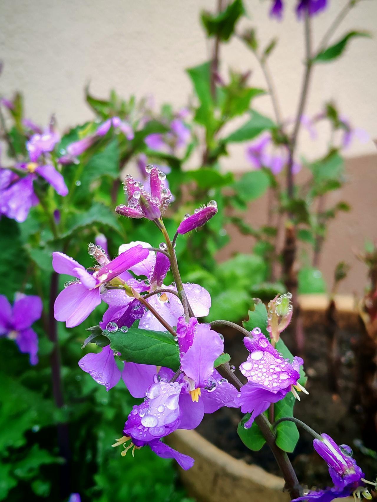 上周同学聚会，大家坐在一起，没聊赚钱，没聊事业，聊得最多的，全是家里的孩子。