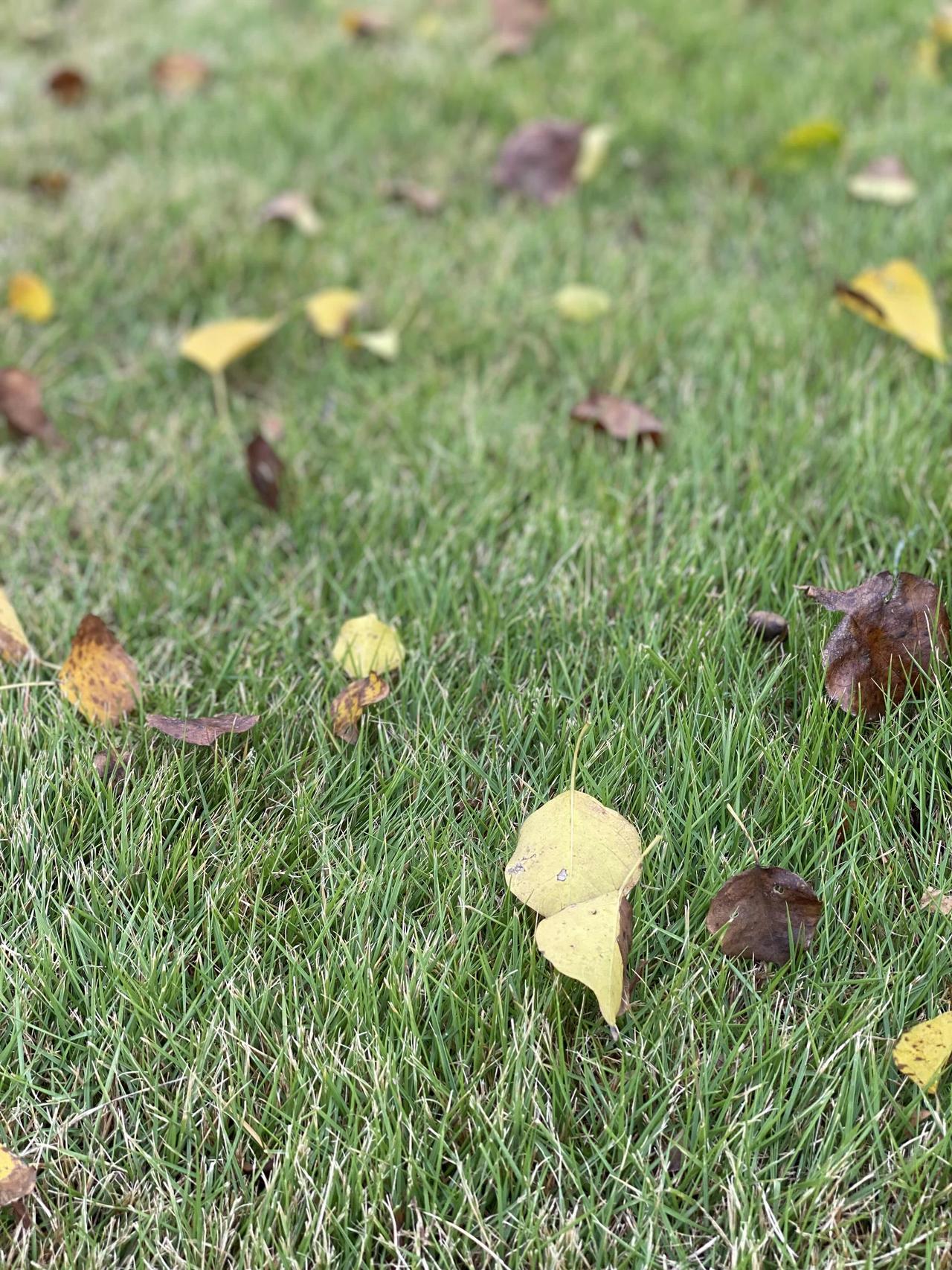 一个人不生气的顶级秘诀就是对什么都不在乎！当你对什么都不在乎的时候，就没有什