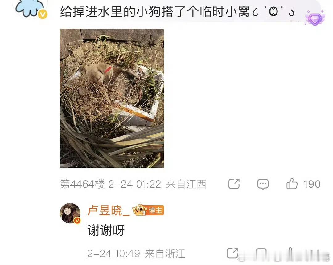 卢昱晓回复粉丝评论看得人暖暖的