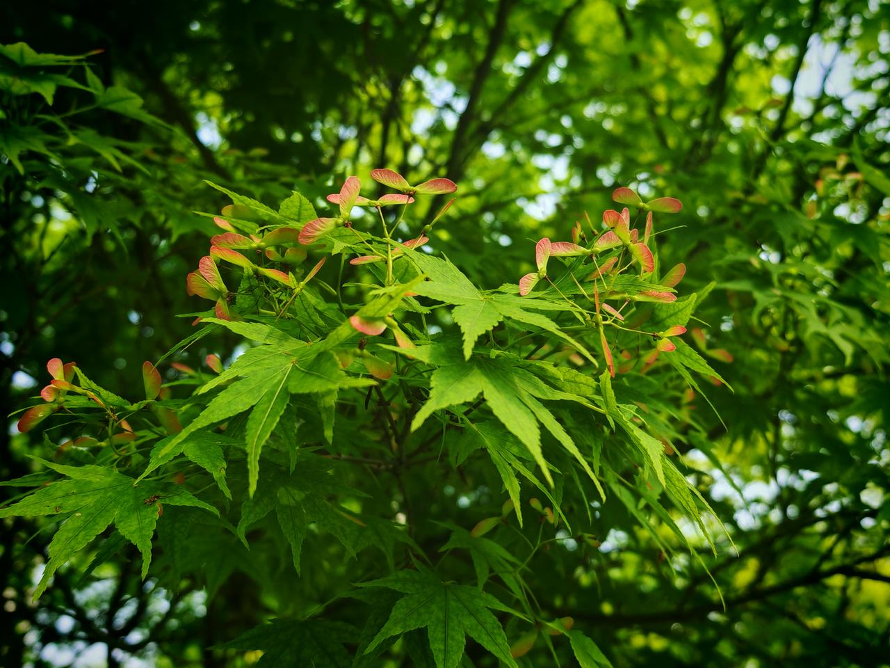美好时光，莫失莫忘，仙寿恒昌。不离不弃，芳龄永继。