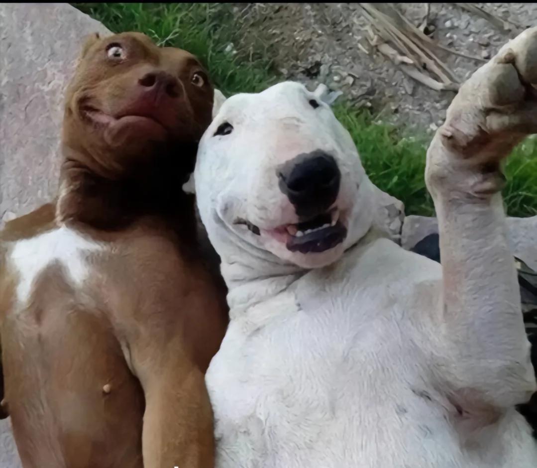 我哥2年前买房的时候，我转了20万给他，说了不着急，慢慢还。没想到这