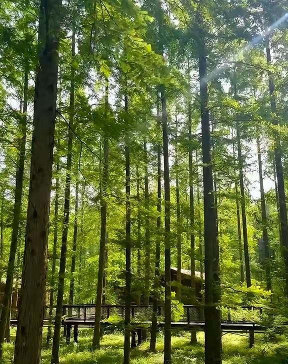 盐城在江苏东部，东临黄海，是江苏面积最大、海岸线最长的地级市，还是全国唯一全域海