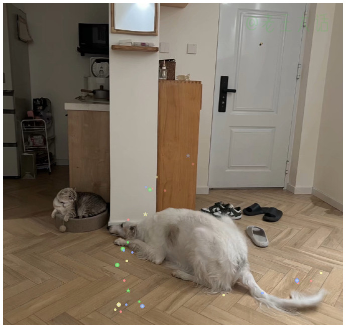 猫：怎么这个大个耗子！