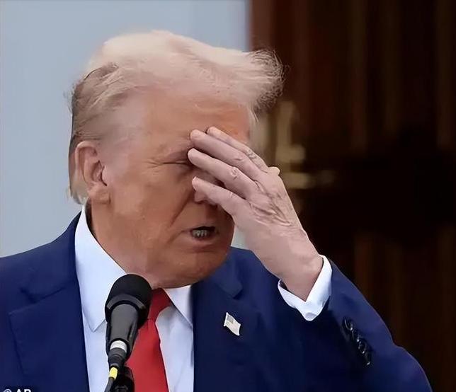 一个可怕的事实是，可能美国这次真的做对了，东方大国错了！在纽约联合国总部举行