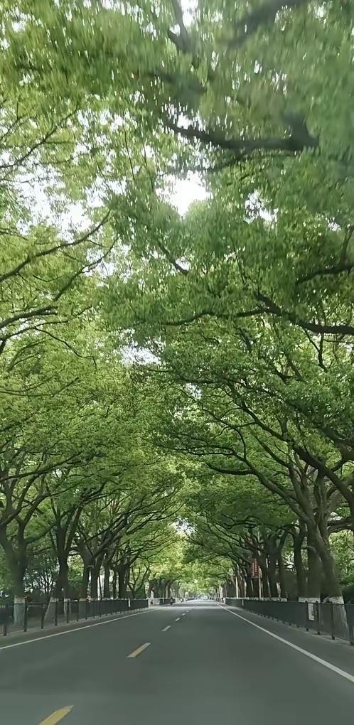 我发现，我妈老了，连性格都变了，今天早上我给妈妈打电话说，明天五一放假我就回去