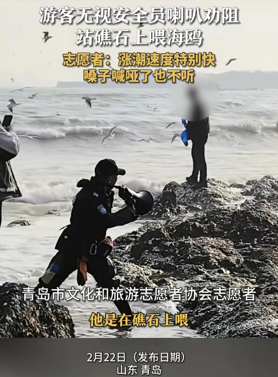 山东青岛一位保安拿着大喇叭，对着站在礁石上喂鸽子的游客让他们赶紧离开现场，因为海