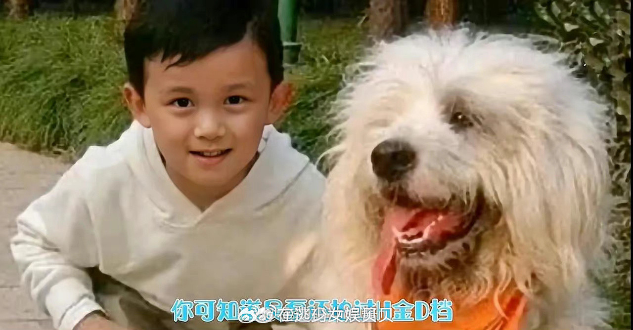 不会只有我一个人才发现这个油漆广告吧。。。小孩是吴磊油漆工是龚俊，里面的爸爸是