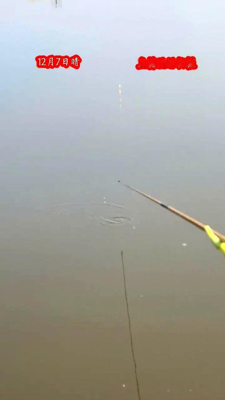 连换三个钓点都没口，心态差点搞崩了。野钓真不能死守啊。这位钓友天不亮就出门，