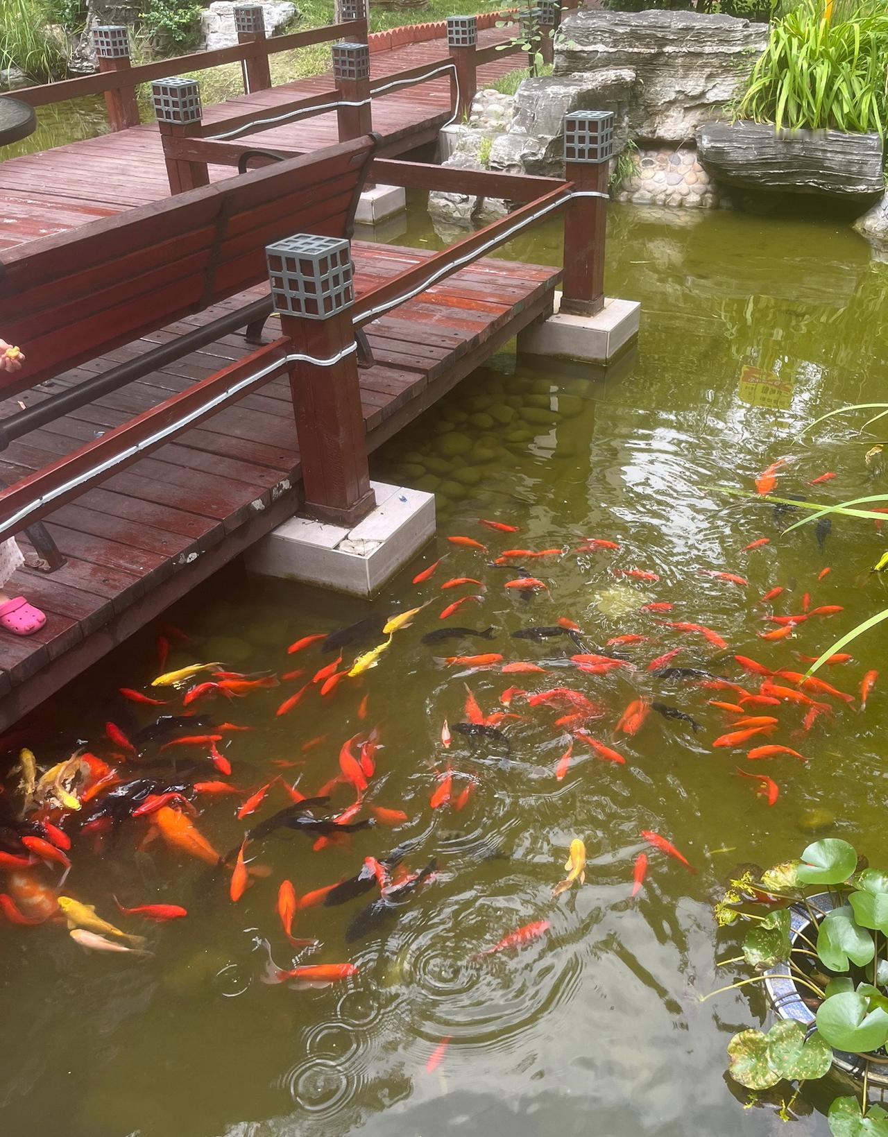 “北哥”终于挺不住改口了？不再坚持房价除以2了，而是换了说法！昨天不经意间看