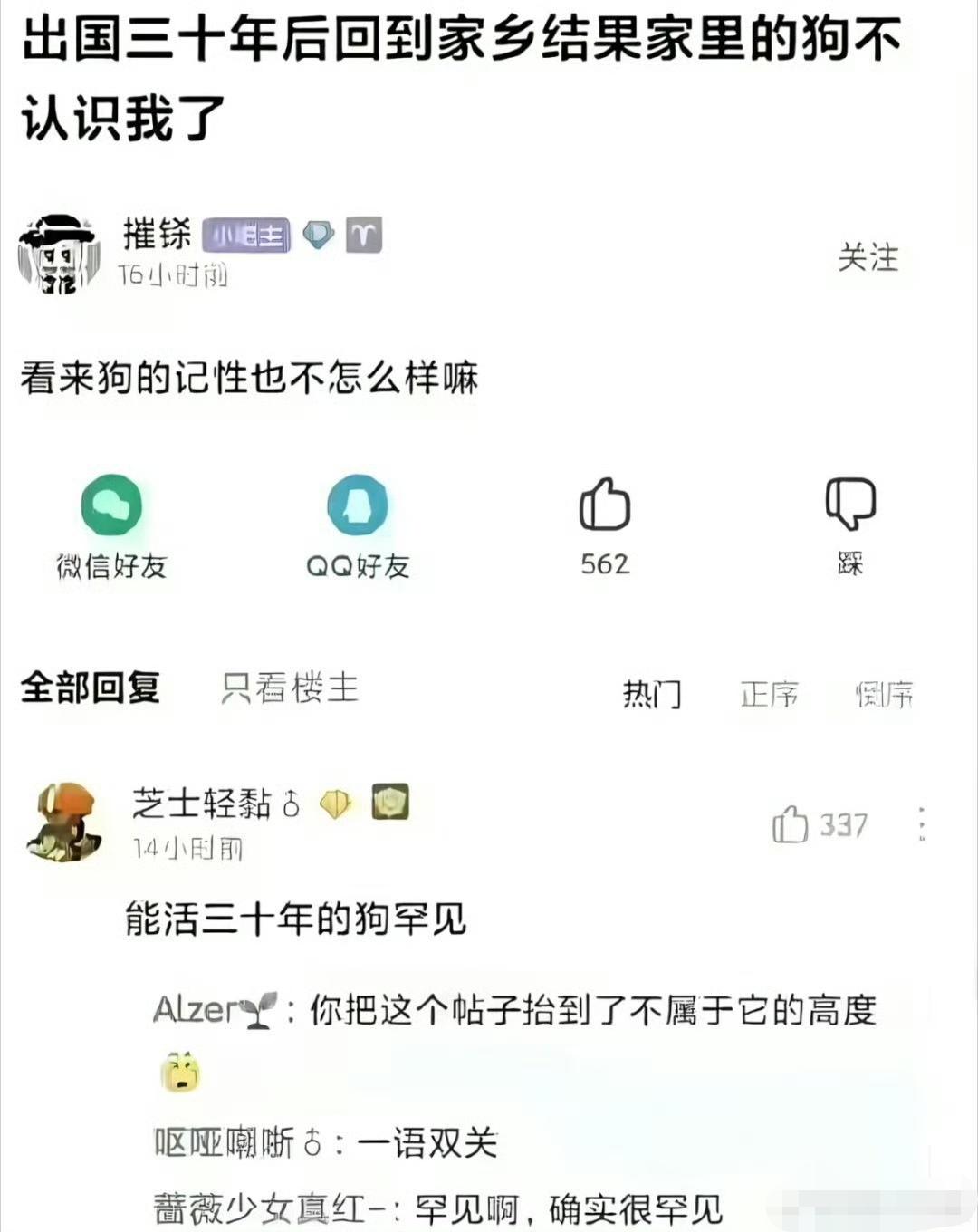 活三十年的狗确实没见过。