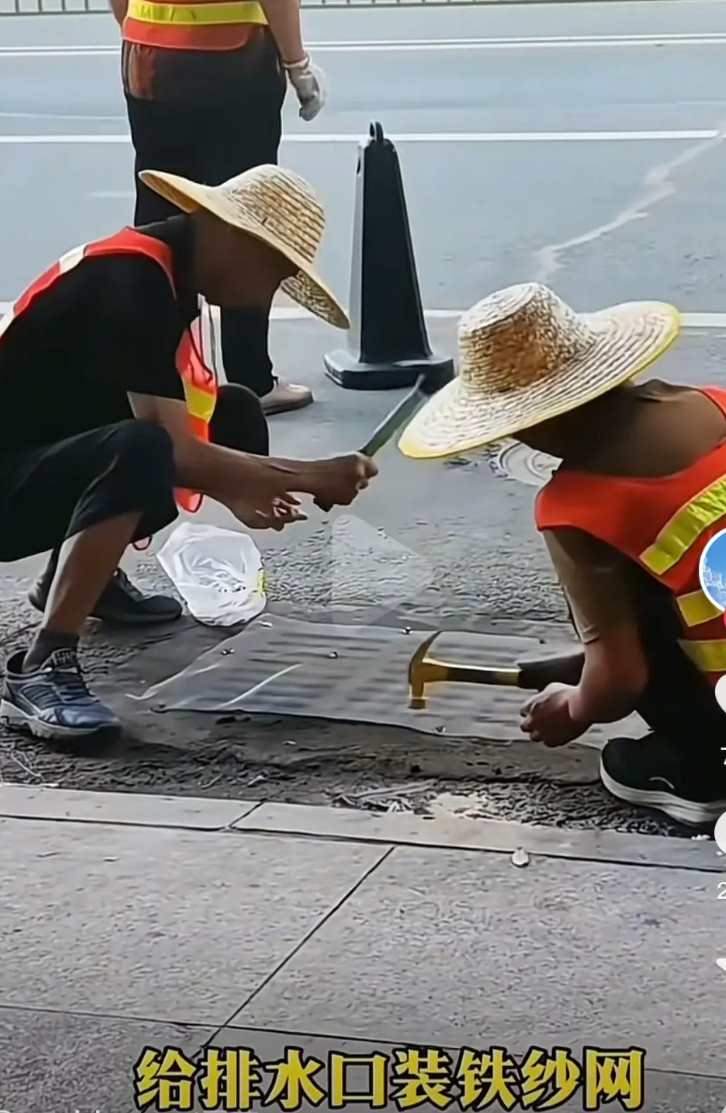 给下水道安装防蚊网，砖家们的智慧真的是“前无古人，后无来者啊”！蚊子烈是飞不出