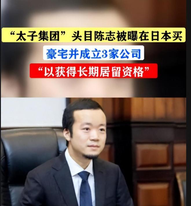 真要动到太子集团这条线了？ 如果胡小伟在日本被逮捕的消息属实，那这事可就不是