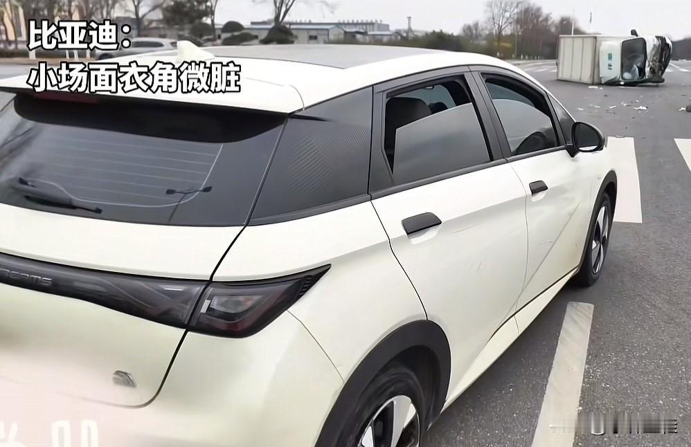 比亚迪海豚：“箱货大哥，对、对、对不起，一不小心又把你chuang翻了！”厢货