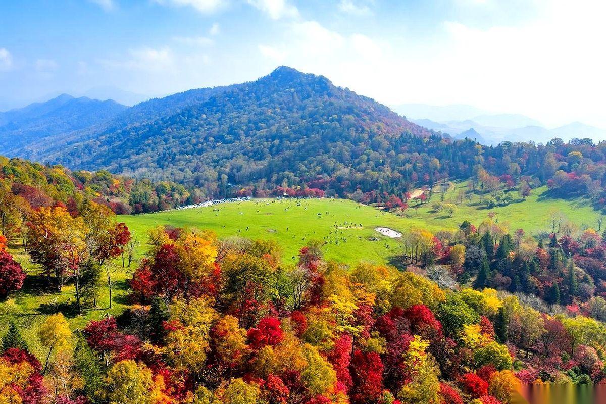 好多人夸这张照片构图好、色彩好，讲什么近景远景、空间感。说实话，我看到的根本不