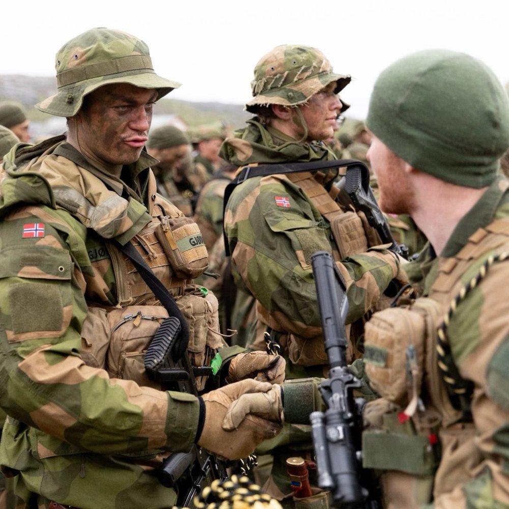 瑞典军队的集合迷彩格外特别